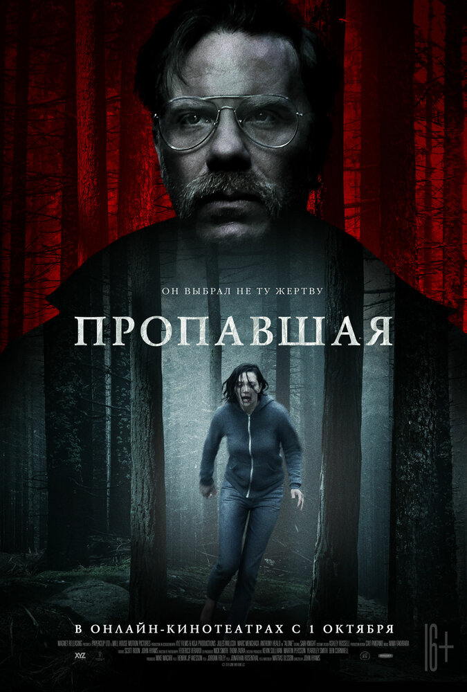 Пропавшая (2020) постер