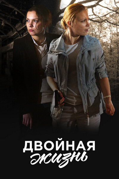 Двойная жизнь (2017) постер